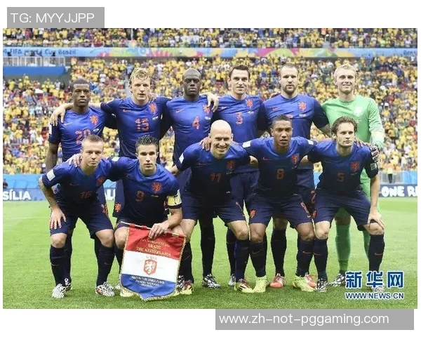 2014年世界杯荷兰与巴西对决的专家深度分析与战术解读 2014年世界杯荷兰与巴西对决的专家深度分析与战术解读
